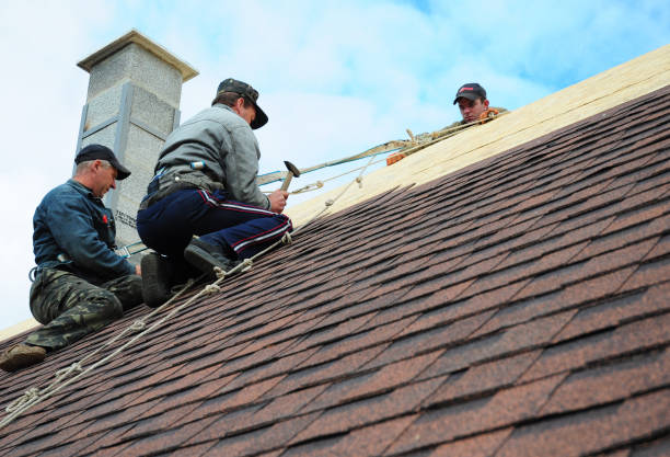 Best New Roof Installation  in Morton, WA